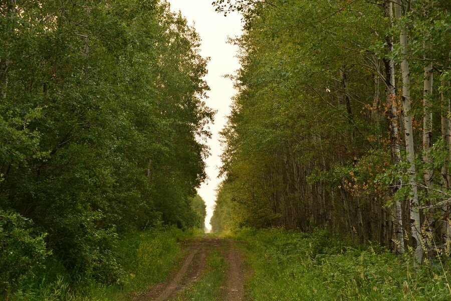 05