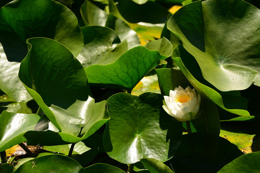 08