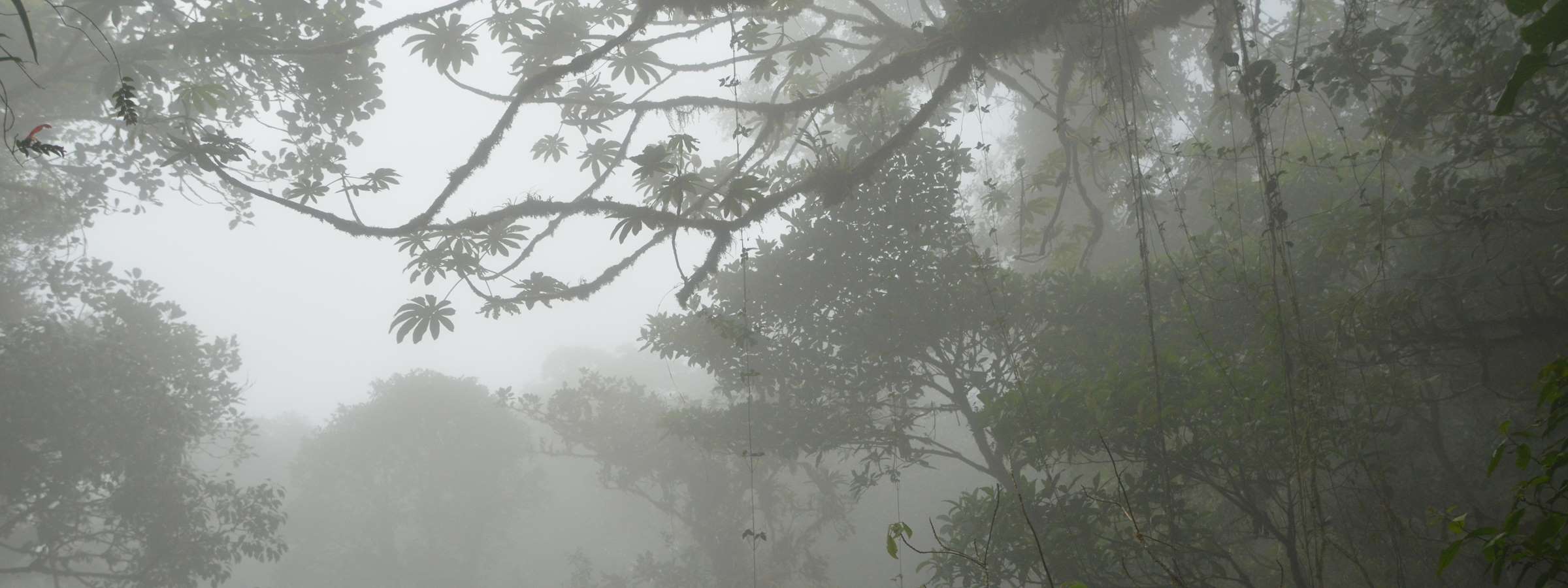 header_24